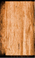 本草纲目(石部) 卷10