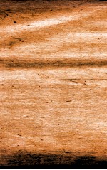 本草纲目(兽部) 卷51下-52