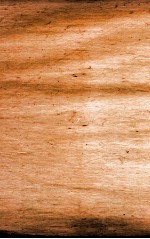 本草纲目(兽部) 卷50上-50下