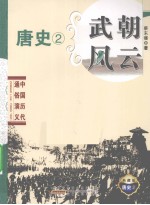 武朝风云 典藏版