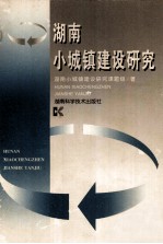 湖南小城镇建设研究