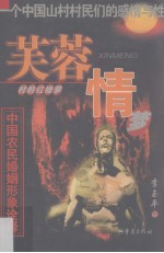 芙蓉村的红楼梦·情梦