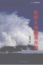 柳荫诗集1984-2004 我的大海翻滚火焰