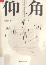 仰角 长篇小说