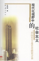 现代化视野中的社会主义 对中国社会主义现代化实践的哲学反思