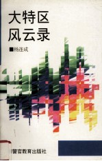 大特区风云录