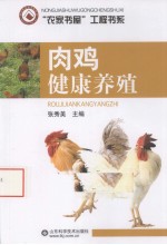 肉鸡健康养殖