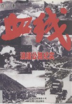 血线 滇缅公路纪实
