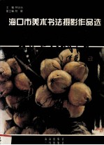 海口市美术书法摄影作品选 椰乡风情
