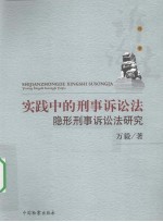 实践中的刑事诉讼法 隐形刑事诉讼法研究