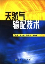 天然气输配技术