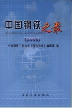 中国钢铁之最 2006