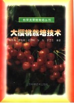 大樱桃栽培技术