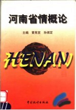 河南省情概论