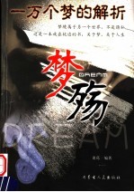 梦殇 第2版