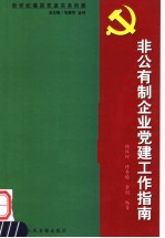 新世纪基层党建实务创新 非公有制企业党建工作指南