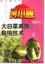 大白菜高效栽培技术