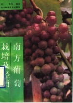 南方葡萄栽培与经销