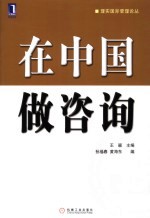 在中国做咨询