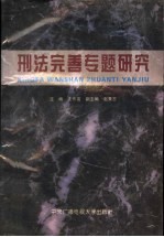 刑法完善专题研究