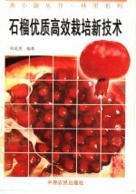 石榴优质高效栽培新技术