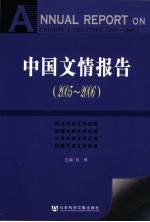 中国文情报告 2005-2006