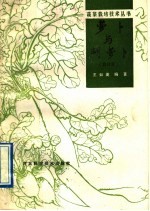 萝卜 修订版