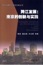 跨江发展：南京的创新与实践