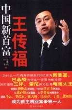 中国新首富王传福