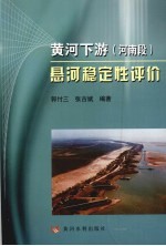 黄河下游(河南段)悬河稳定性评价