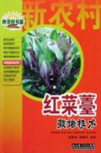 红菜薹栽培技术
