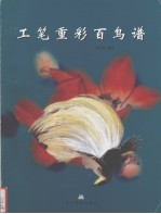 工笔重彩百鸟谱
