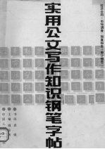 实用公文写作知识钢笔字帖 2 经济合同·市场调查·预算报告·审计报告