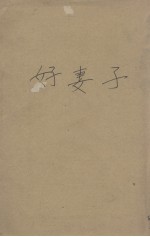 好妻子