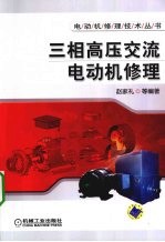 三相高压交流电动机修理