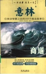 意林 拨动智慧之弦的 185 个商业故事 商道