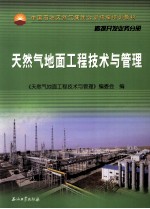 天然气地面工程技术与管理