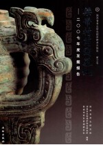 梁带村芮国墓地 2007年度发掘报告