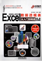 Excel 2003-2010数据透视表从入门到精通 超值案例版