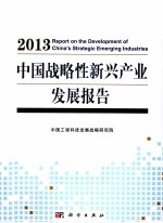 中国战略性新兴产业发展报告 2013