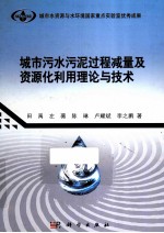 城市污水污泥过程减量及资源化利用理论与技术