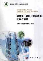 碳捕集、利用与封存技术 综述、进展与展望