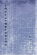 中国流失海外佛教造像总合图目 第4卷