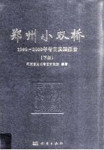 郑州小双桥 1990-2000年考古发掘报告 下