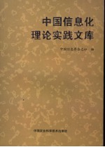 中国信息化理论实践文库 1