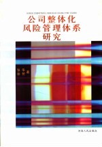 公司整体化风险管理体系研究