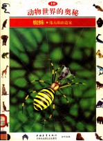动物世界的奥秘 图集 10 蜘蛛 伟大的织造家