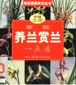 家庭养兰赏兰一点通 中国兰花