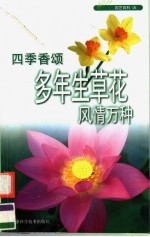 四季香颂 多年生草花风情万种