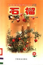 石榴